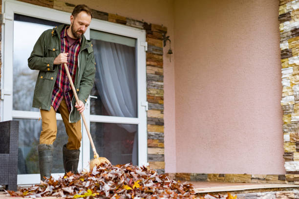 Best Same-Day Junk Removal  in Midway, AR